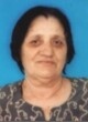 Dare Milutina Palević